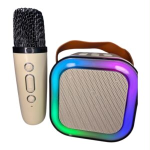Altavoz Karaoke Bluetooth Portátil 2 Micrófonos Luces LED Recargable